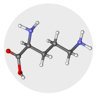 Key Ingredients in HyperGH 14X for Muscle and Strength