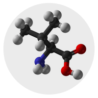 Key Ingredients in HyperGH 14X for Muscle and Strength