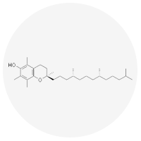 Kollagen Intensiv™ natural ingredients for collagen production and skin hydration