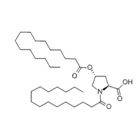 Kollagen Intensiv™ natural ingredients for collagen production and skin hydration